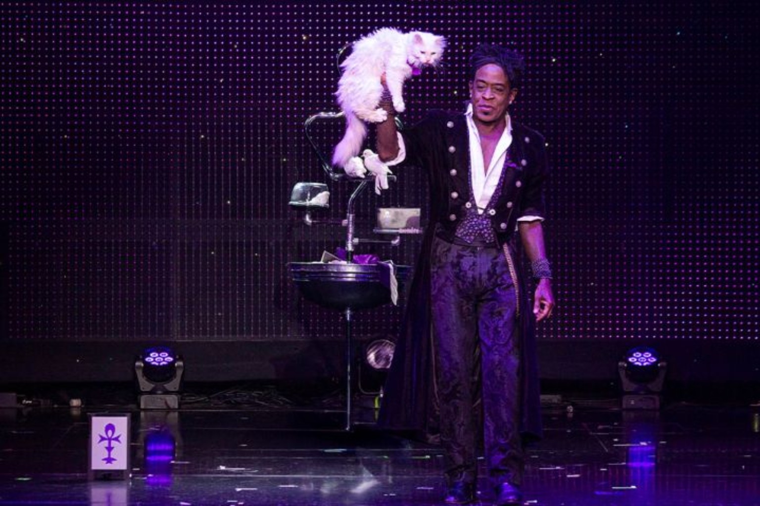 Magician holding a white cat onstage in Allstars of Magic in Las Vegas